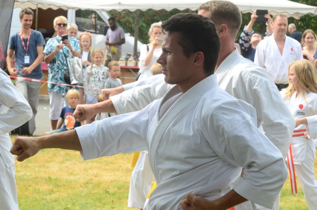 Bilden visar en karateuppvisning.