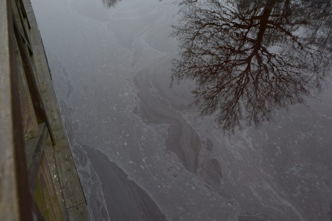 Bilden visar förorenat vatten.