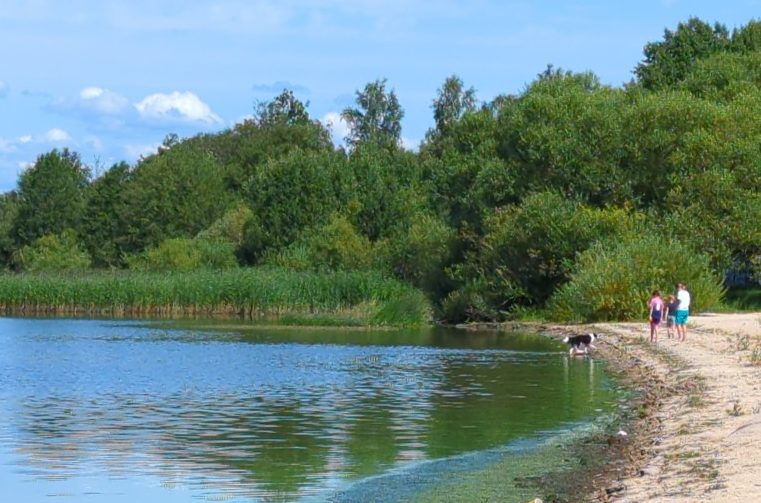 Bilden visar en familj med hund i strandkanten.