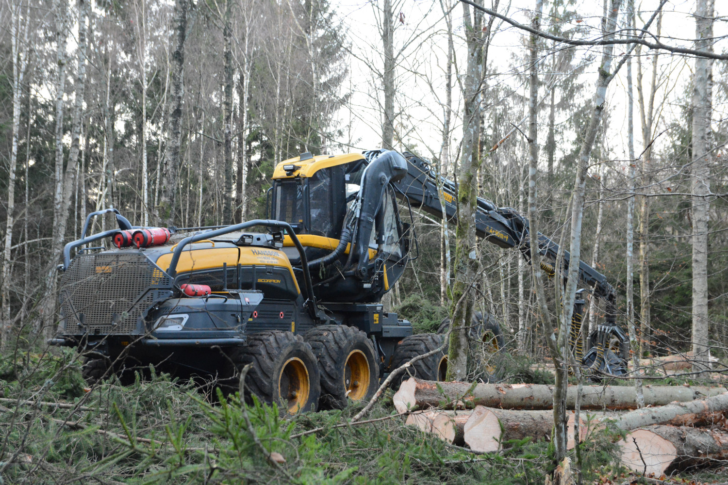 Bilden visar en skogsmaskin på Hovdala.